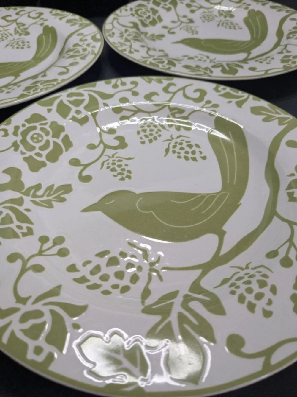 Pier 1 Imports Green Bird Stoneware 8” Luncheon Salad Dessert Plates Set Of 3
